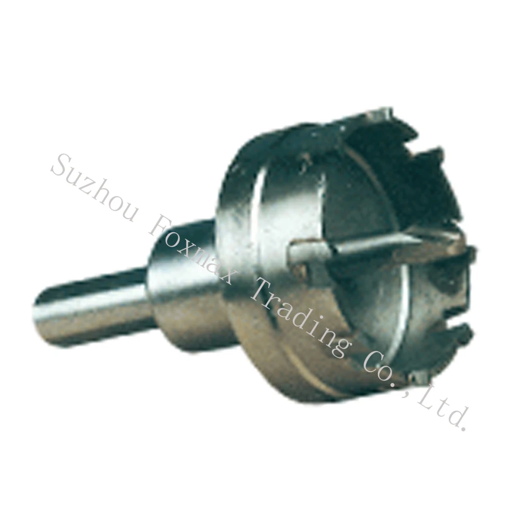 Carbide Tipped Hole Saws (FXS-02)