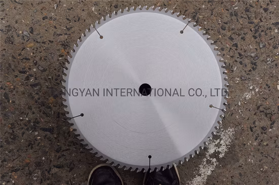Tct Multi-Ripping Saw Blade with Rakes